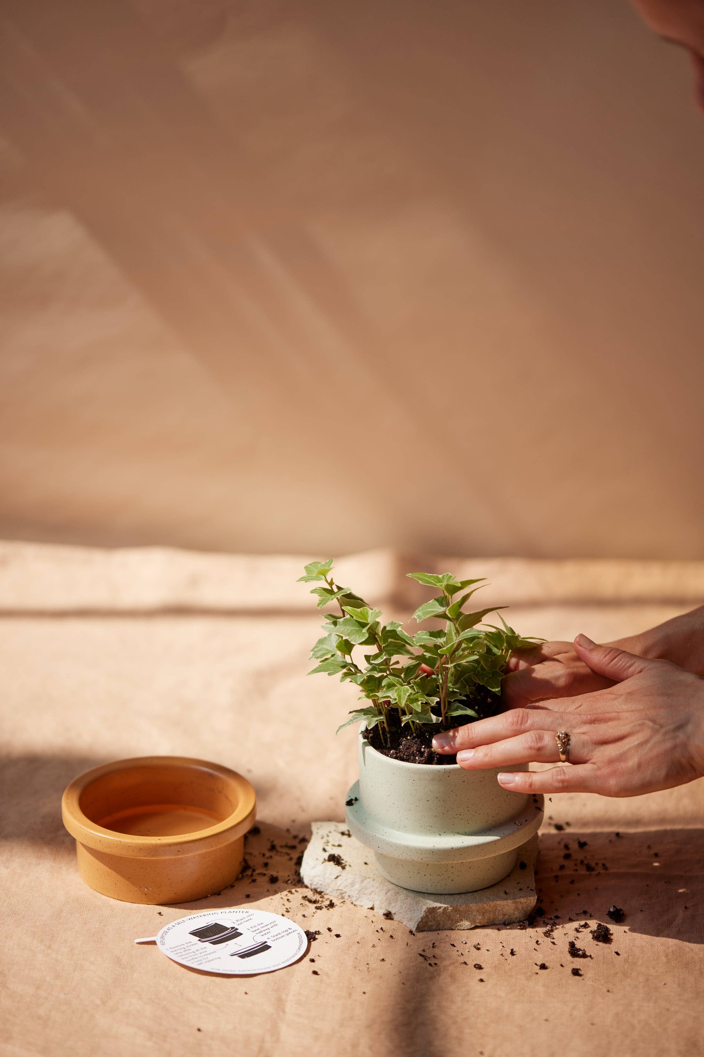 Thyme & Olive Ceramic Candle | Plant Pot Base