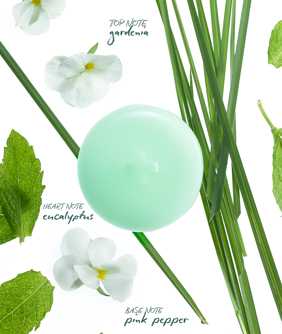 Power Wax Melts