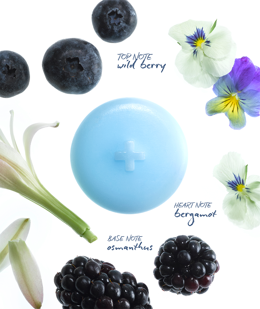 Relax Wax Melts