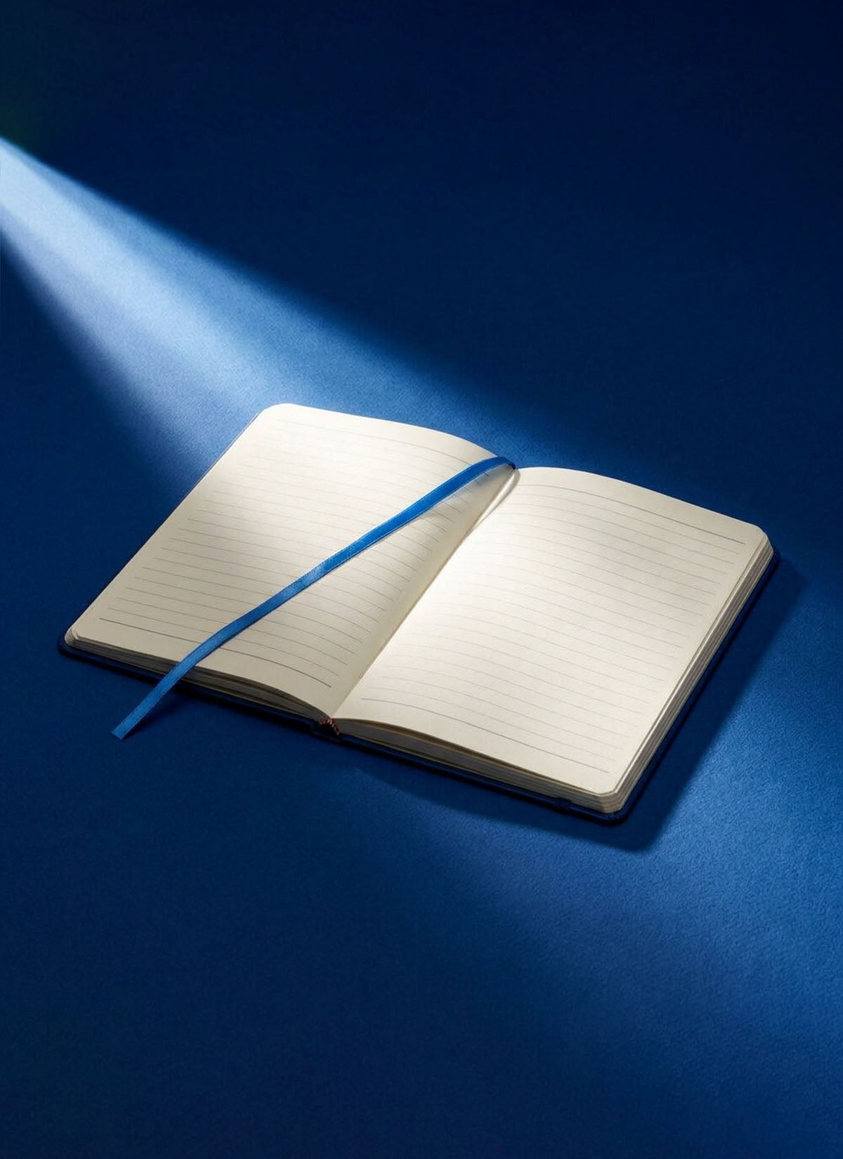 Blue Googly Eyes Notebook