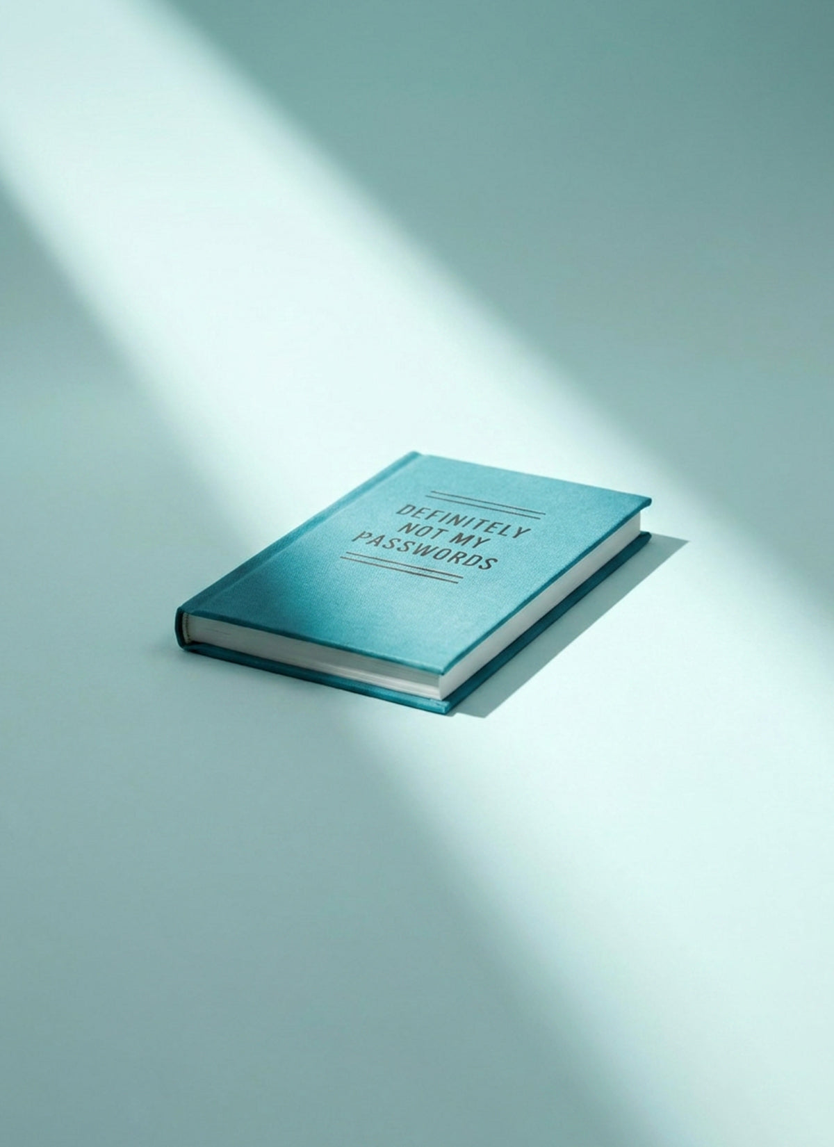 Definitely Not My Passwords Tiny Diary