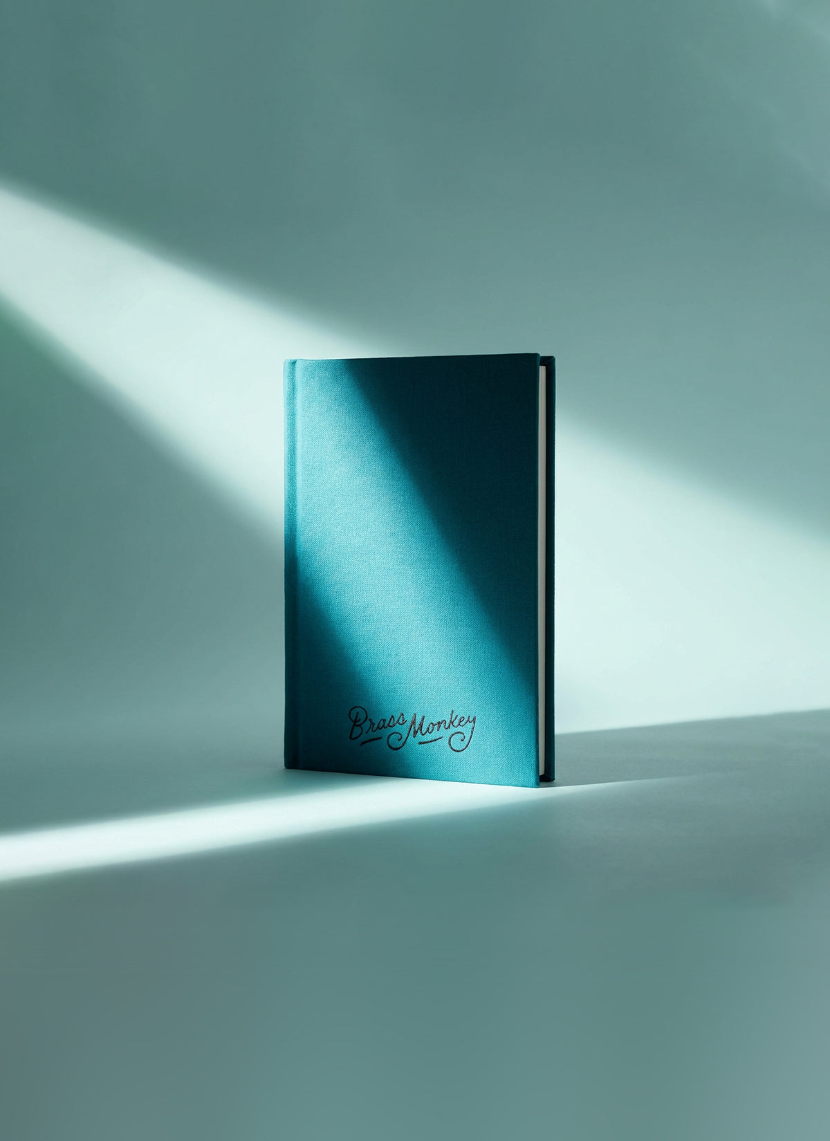 Definitely Not My Passwords Tiny Diary