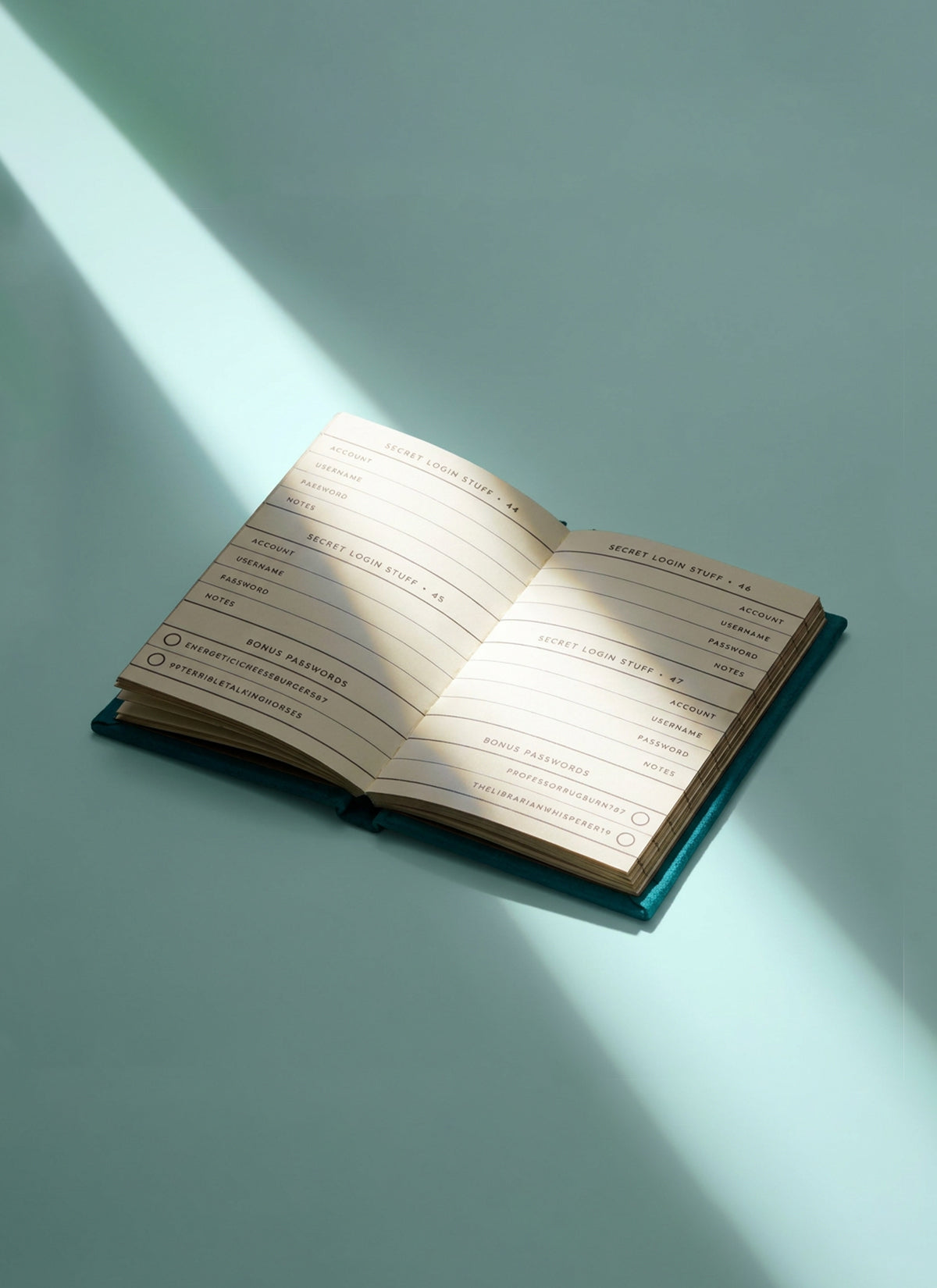 Definitely Not My Passwords Tiny Diary