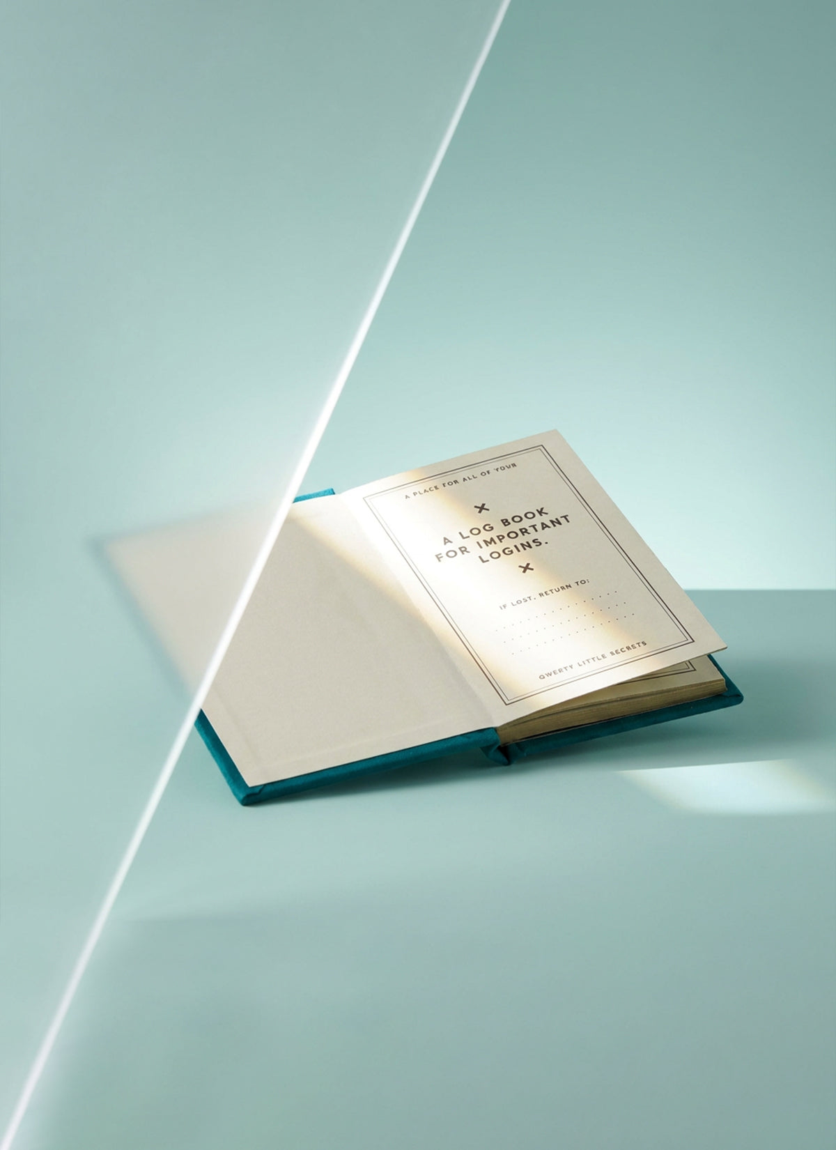 Definitely Not My Passwords Tiny Diary