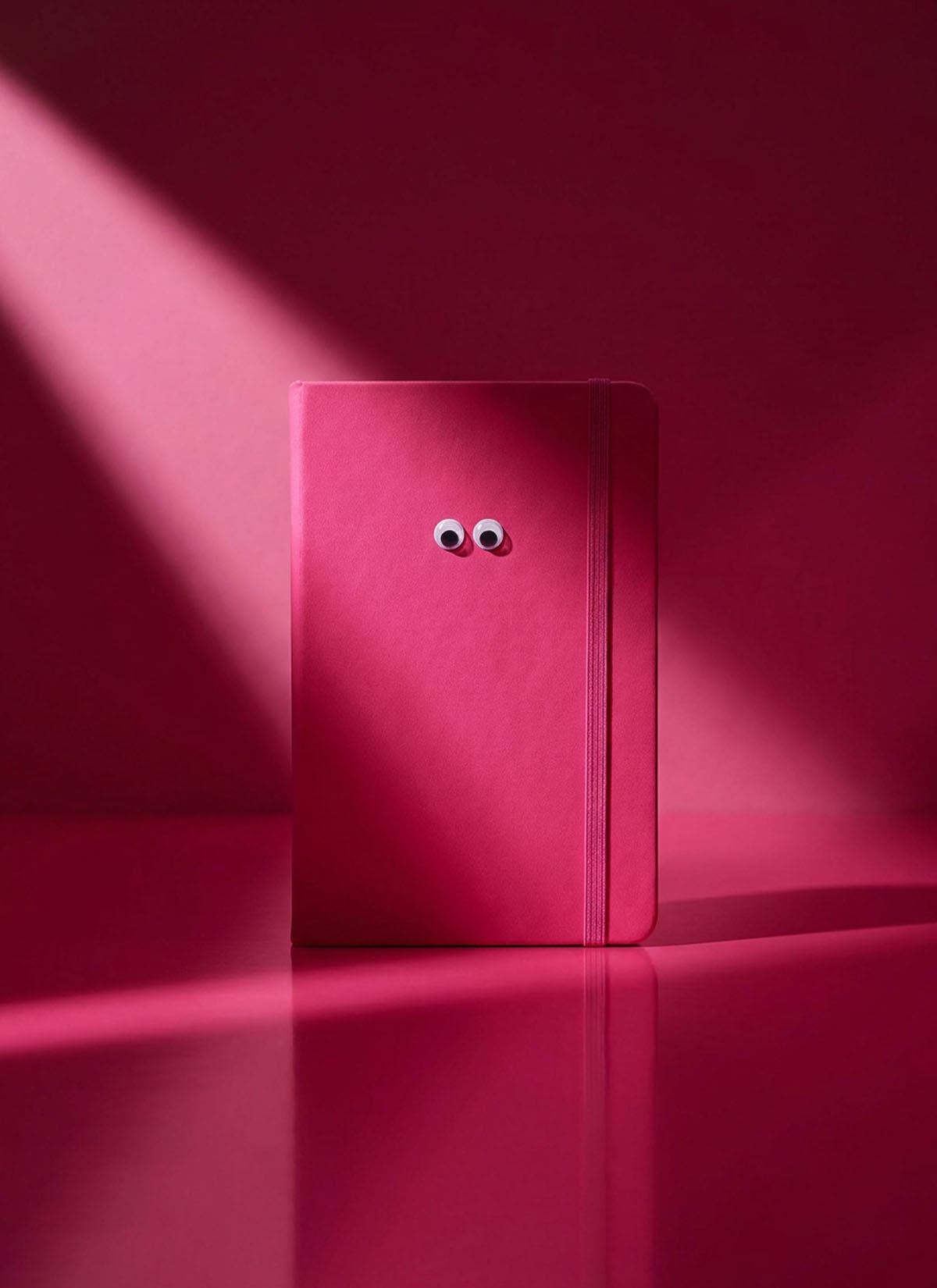 Pink Googly Eyes Notebook