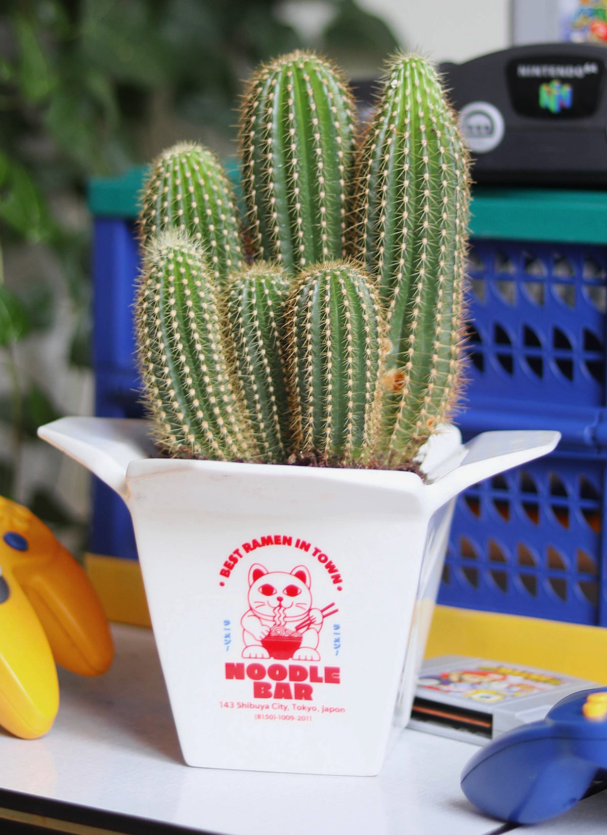 Ramen Vase / Plant pot