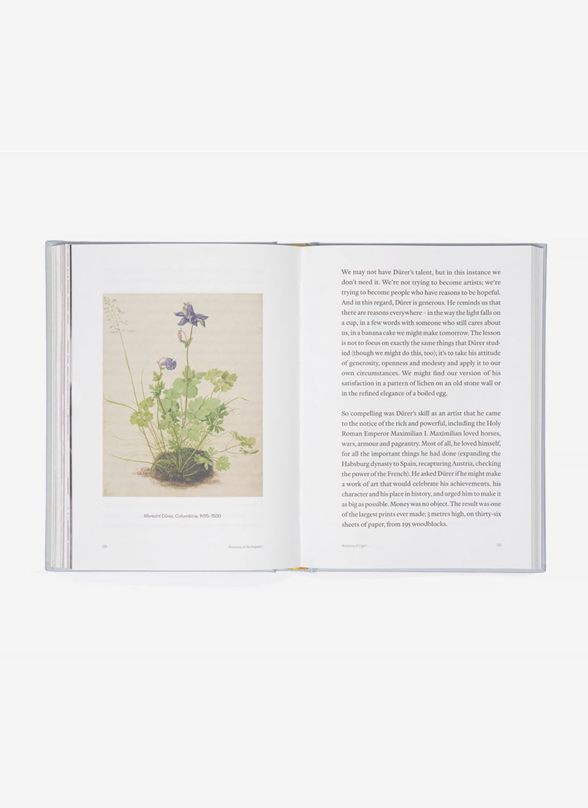 Reasons to be Hopeful Book