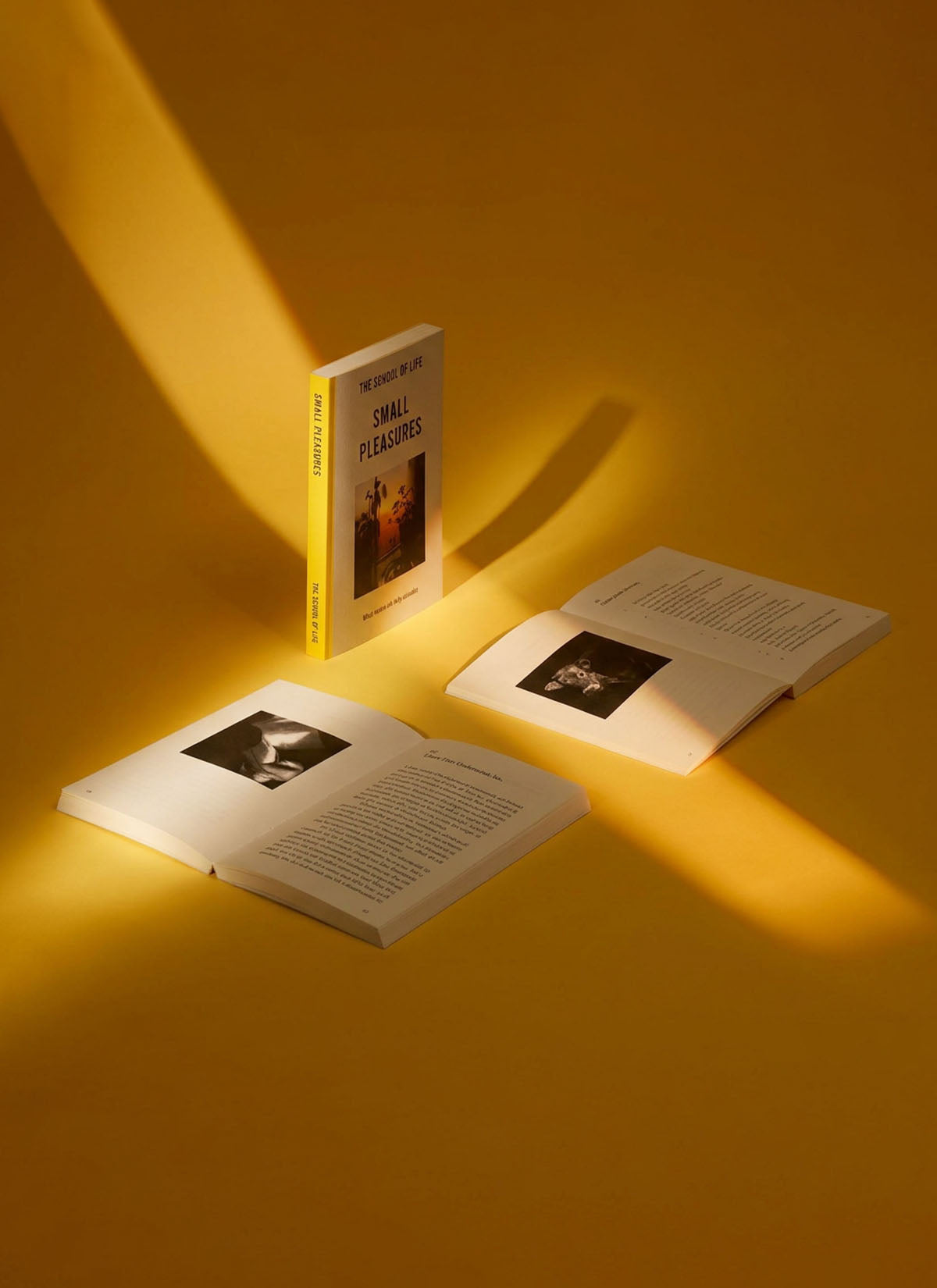 Small Pleasures Book