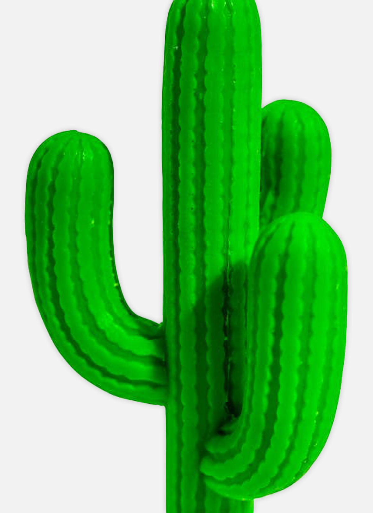 The Cactus Candle
