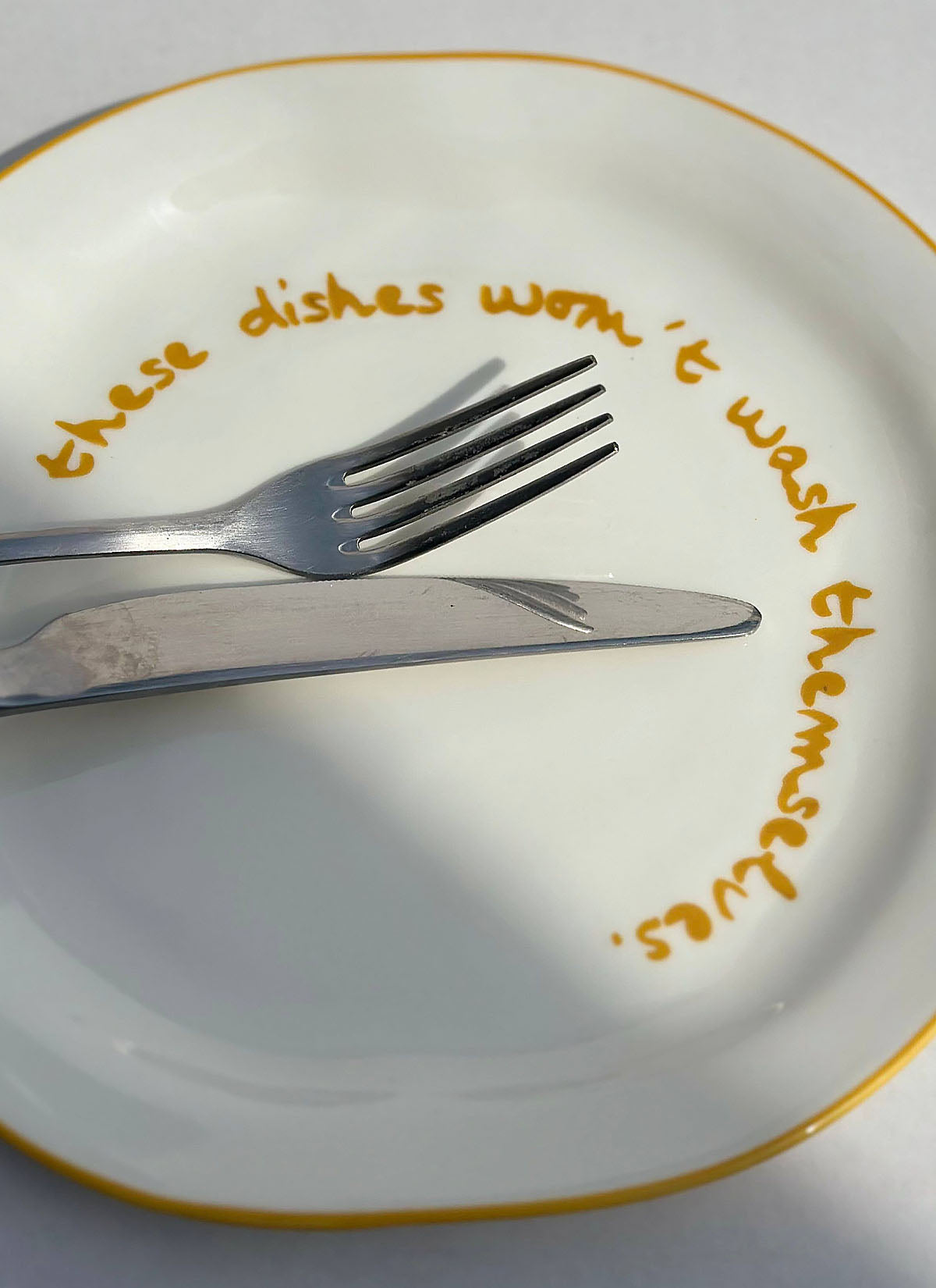 'these dishes won't wash themselves.' Plate