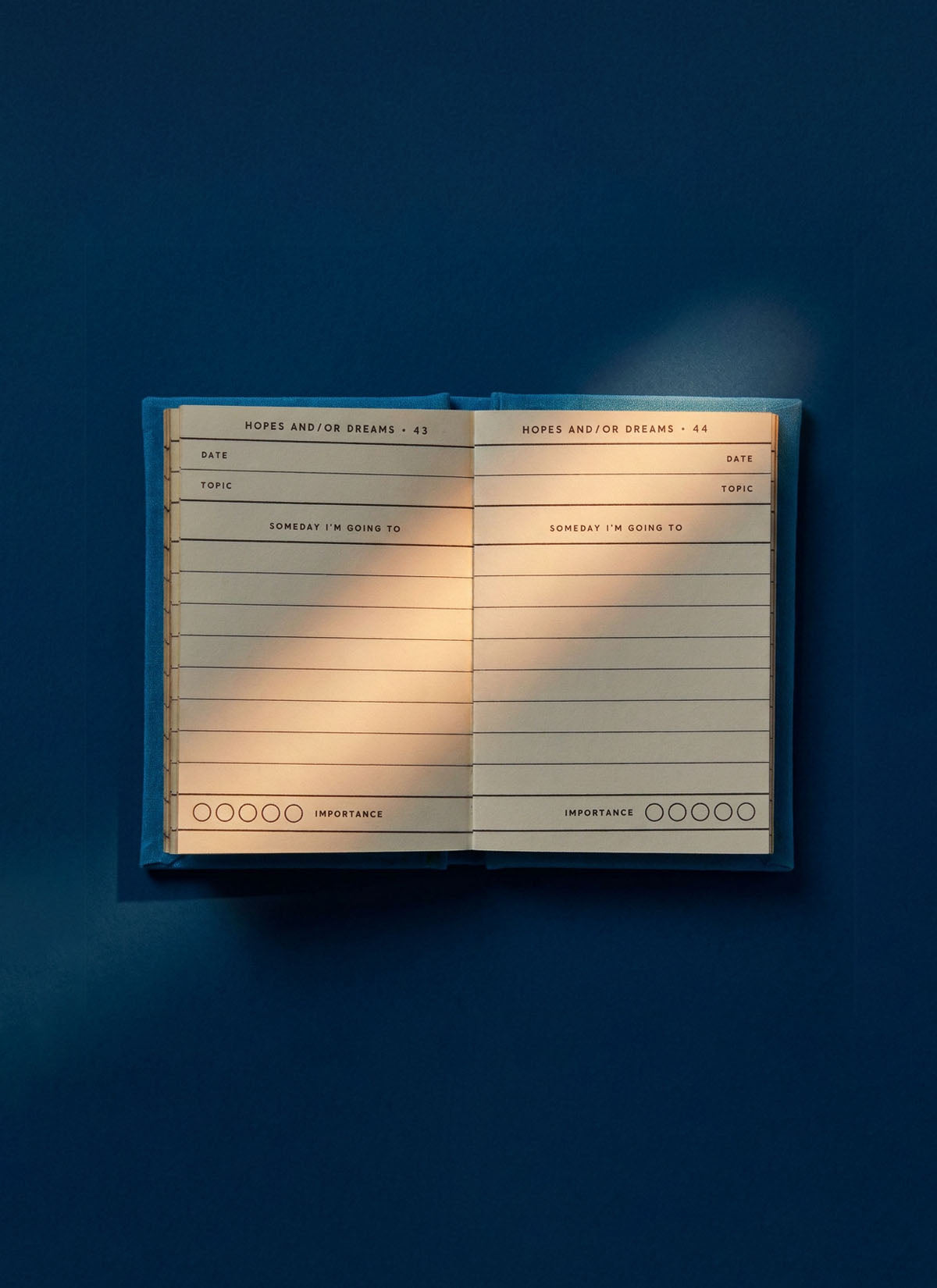 Tiny Hopes And Dreams Journal