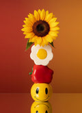 The Daisy, Apple & Smiley Vase