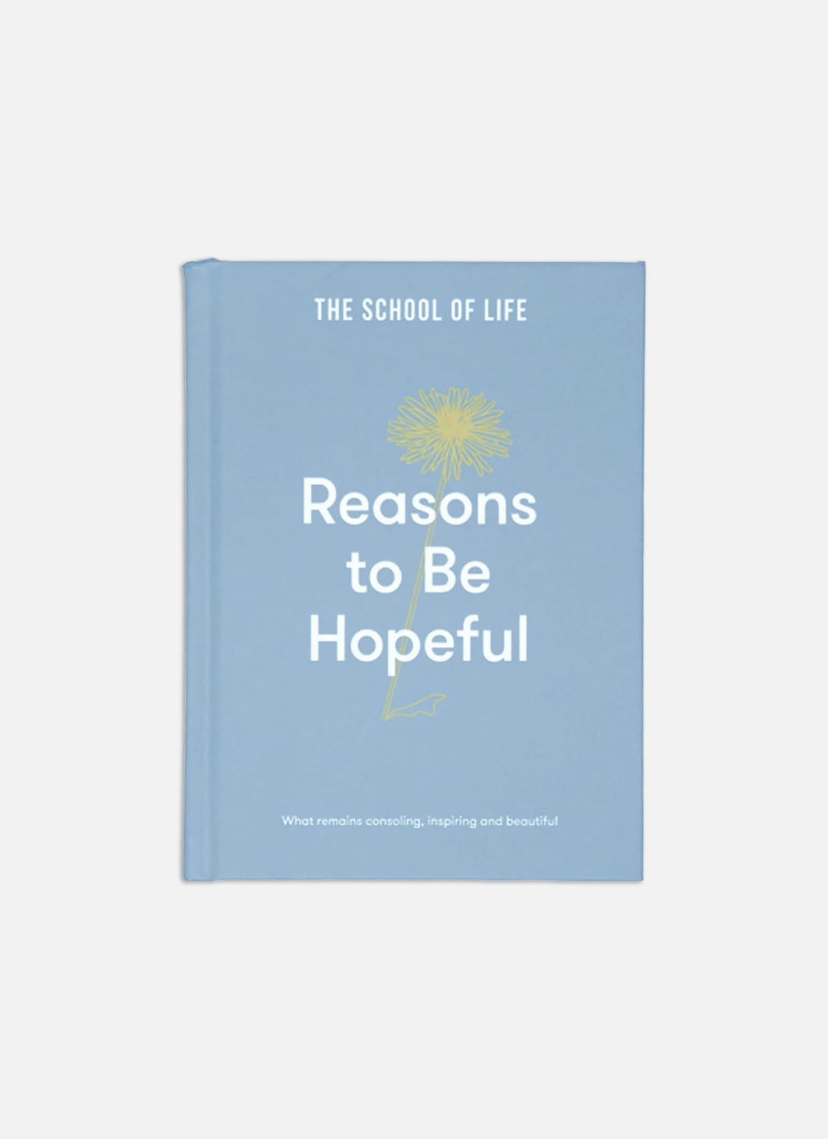Reasons to be Hopeful Book