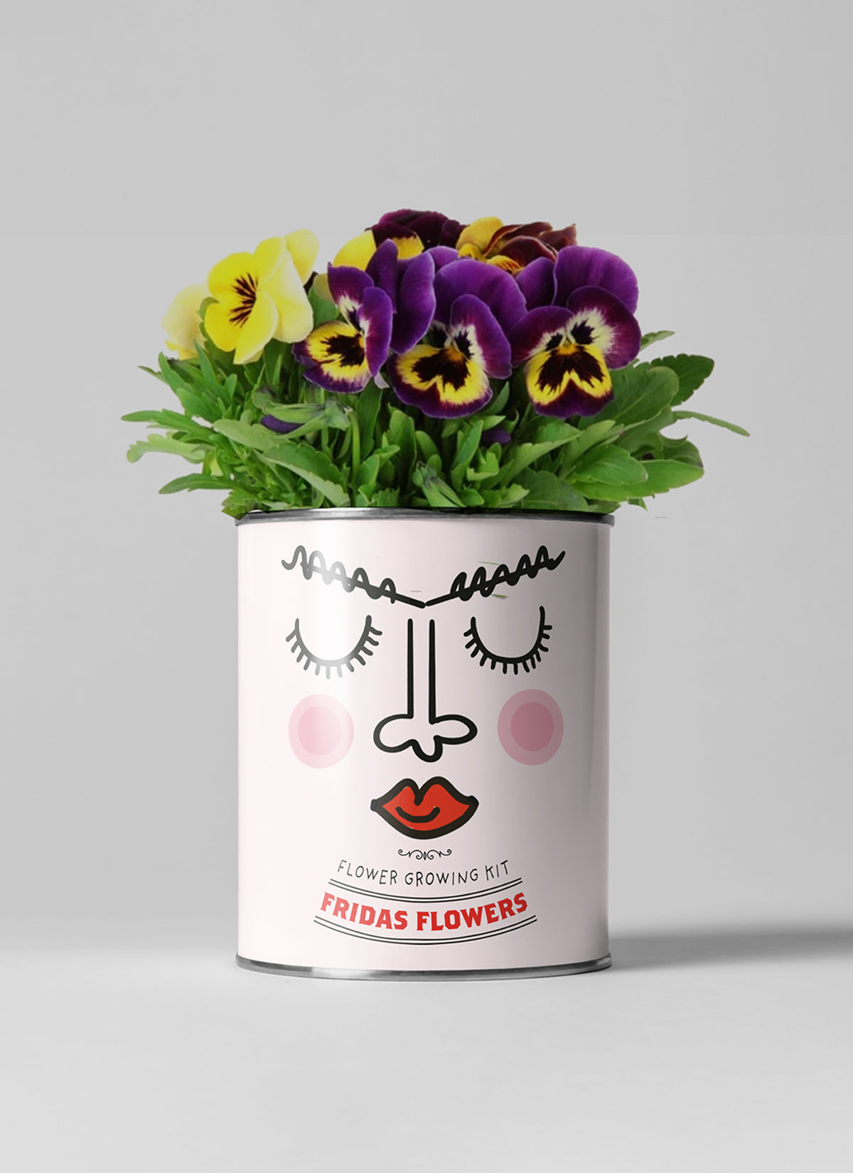 Frida's Flowers - Grow Your Own Plant