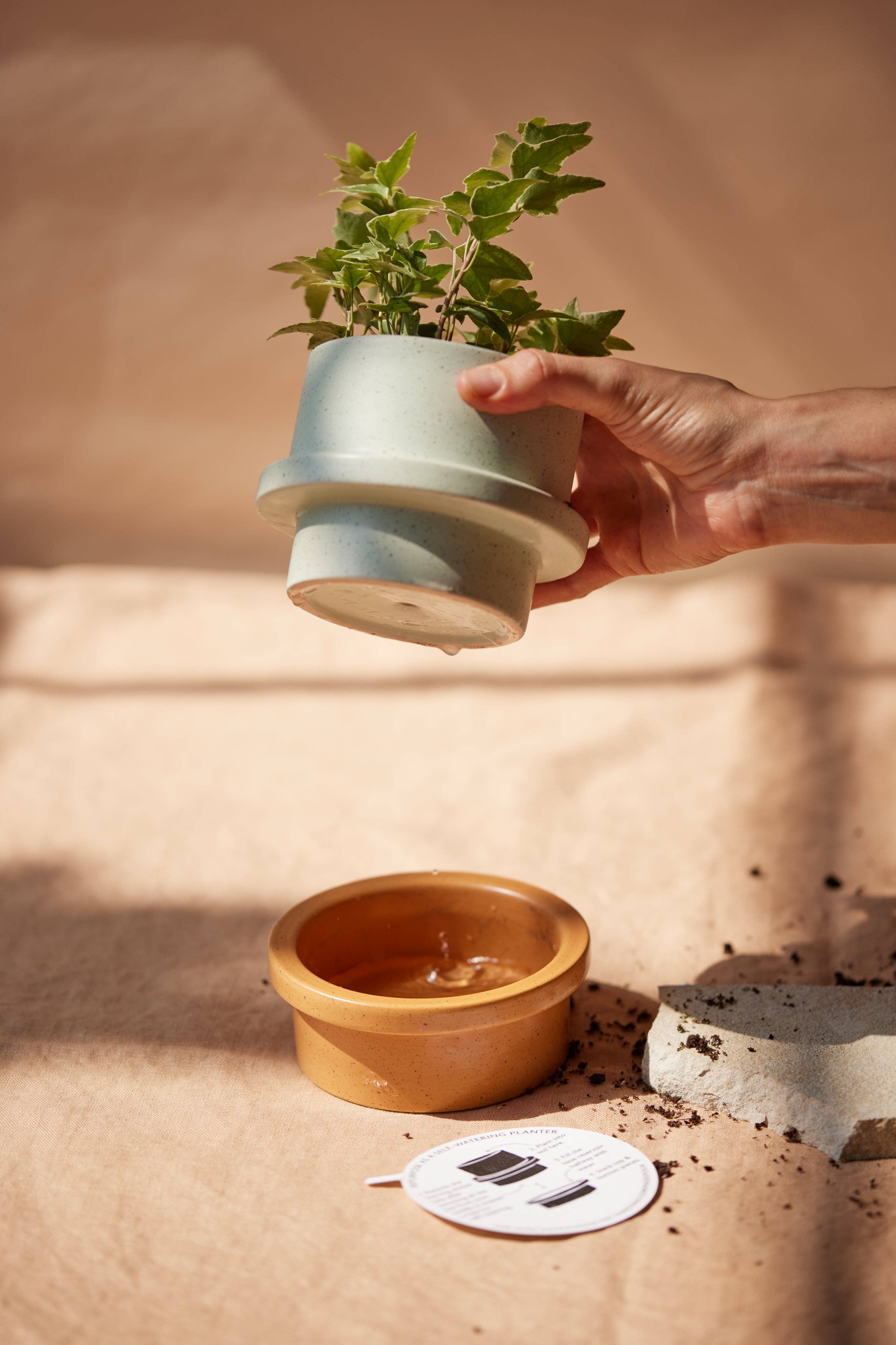 Rose Ceramic Candle/Plant Pot & Base