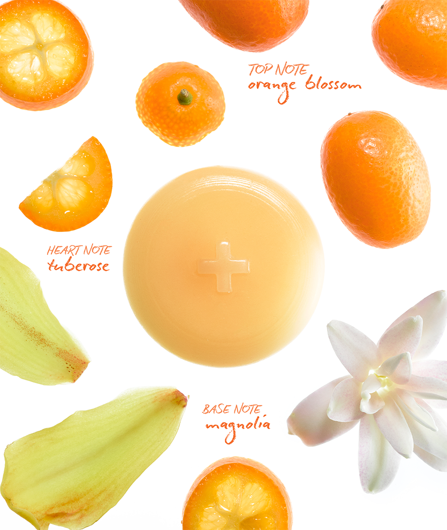 Focus Wax Melts