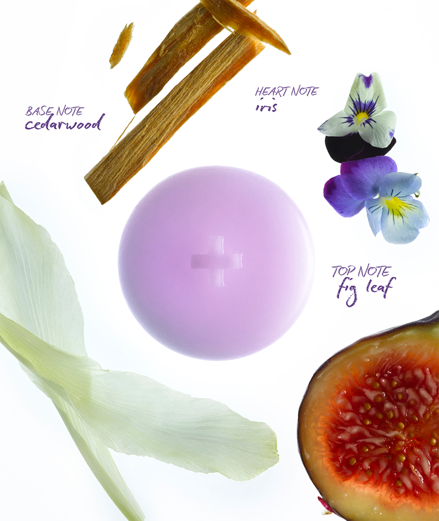 Dream Wax Melts