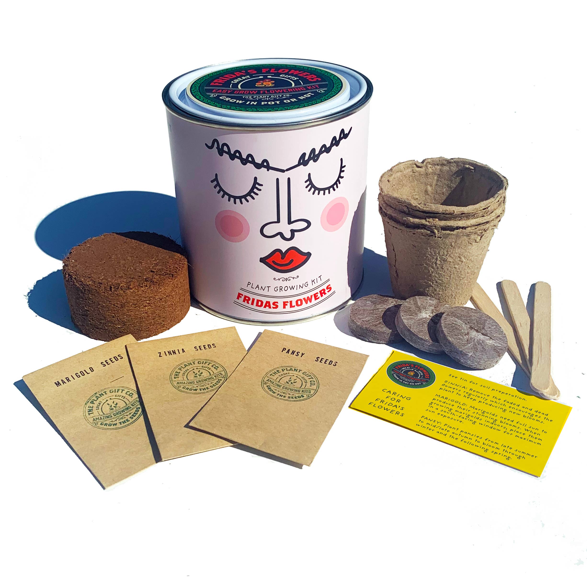 Frida's Flowers - Grow Your Own Plant