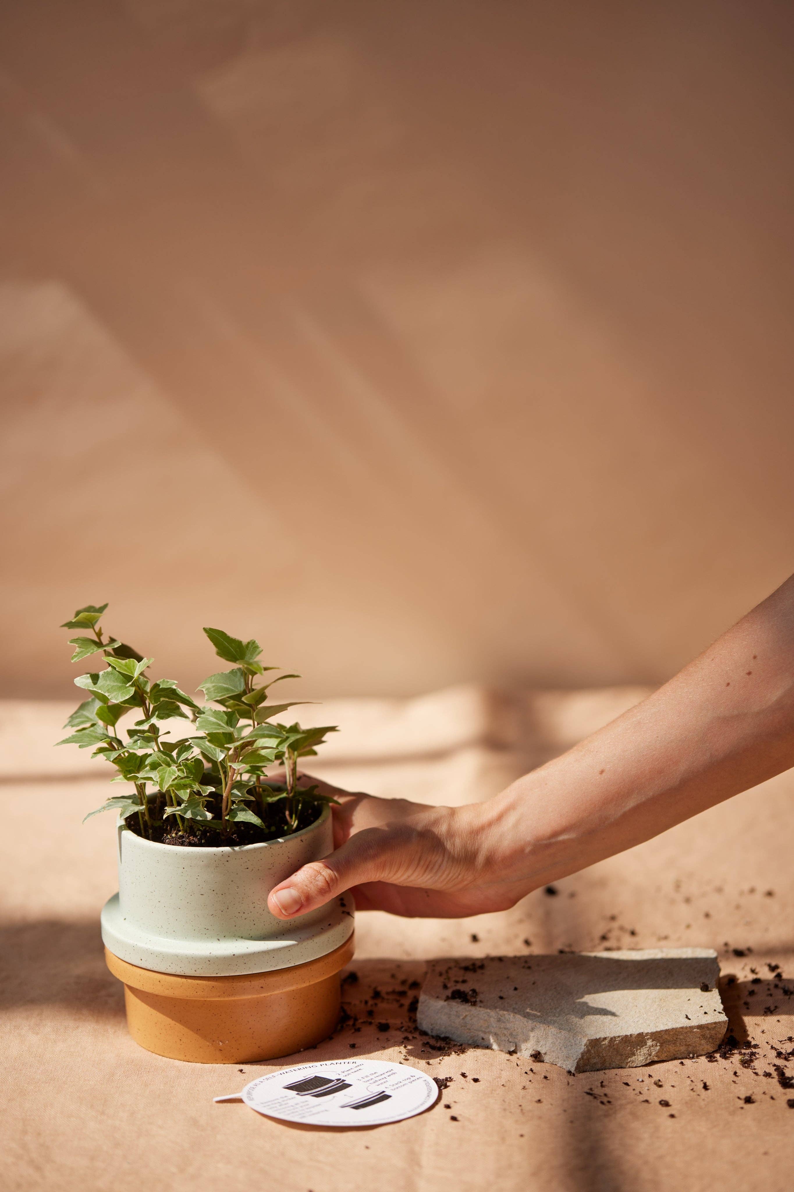 Thyme & Olive Ceramic Candle | Plant Pot Base